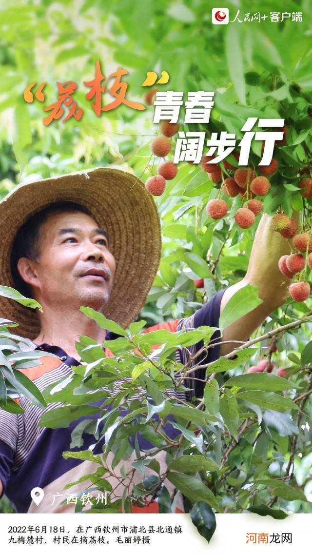 这组夏收“好运签”，请笑纳！