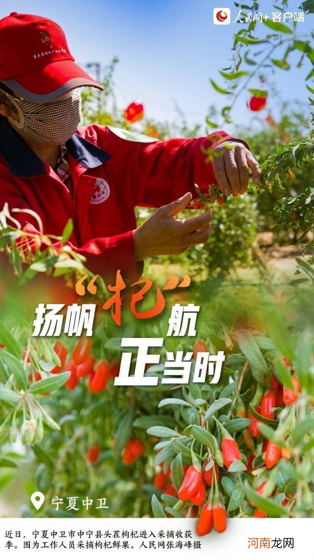 这组夏收“好运签”，请笑纳！