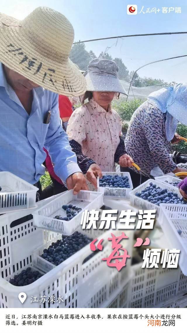 这组夏收“好运签”，请笑纳！