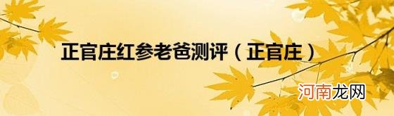 正官庄 正官庄红参老爸测评