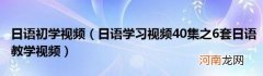 日语学习视频40集之6套日语教学视频 日语初学视频