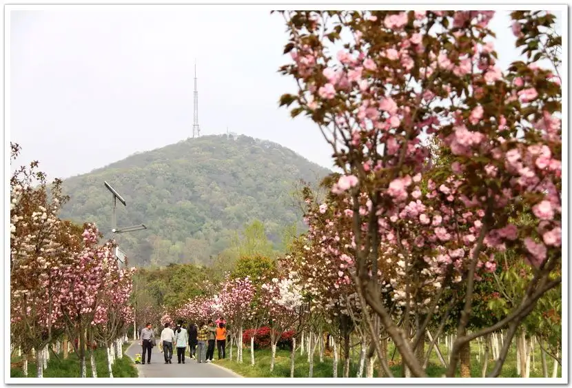 合肥有什么好玩的景点吗 合肥景点有哪些值得去玩的