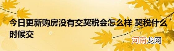 今日更新购房没有交契税会怎么样契税什么时候交