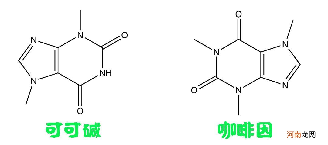 狗如果吃了巧克力该怎么办 为什么狗不能吃巧克力