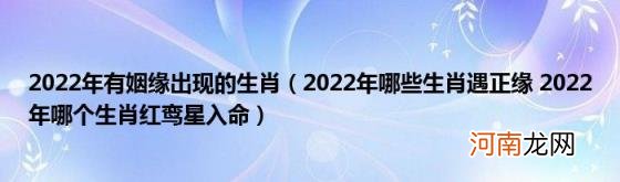 2022年哪些生肖遇正缘2022年哪个生肖红鸾星入命 2022年有姻缘出现的生肖