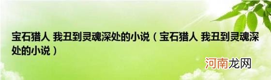 宝石猎人我丑到灵魂深处的小说 宝石猎人我丑到灵魂深处的小说