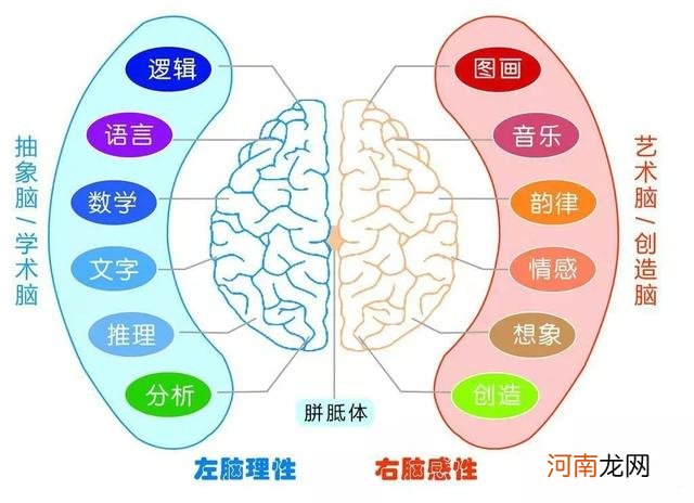 孩子脾气太暴躁？家长善用全脑养育法，培养高情商宝宝事半功倍