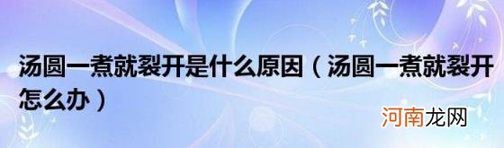 汤圆一煮就裂开怎么办 汤圆一煮就裂开是什么原因