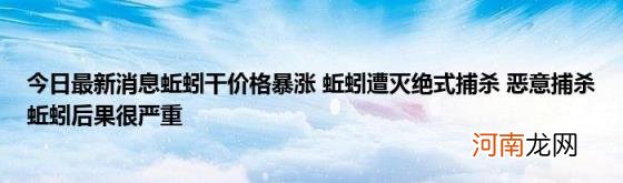 今日最新消息蚯蚓干价格暴涨蚯蚓遭灭绝式捕杀恶意捕杀蚯蚓后果很严重