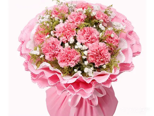 适合送给母亲的花以及花语 母亲节应该送什么花