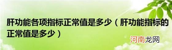 肝功能指标的正常值是多少 肝功能各项指标正常值是多少