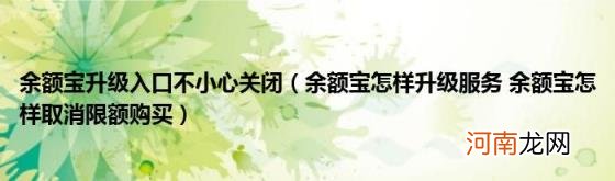 余额宝怎样升级服务余额宝怎样取消限额购买 余额宝升级入口不小心关闭