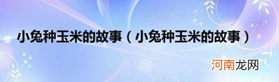 小兔种玉米的故事 小兔种玉米的故事