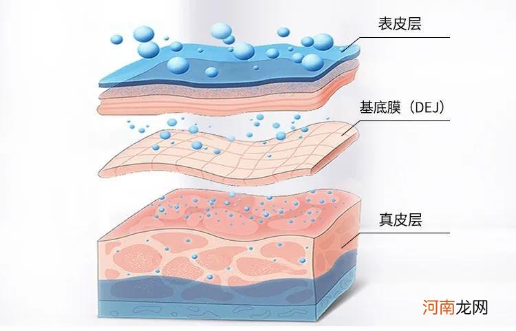 哪款精华液好用性价比高 精华液的正确使用方法