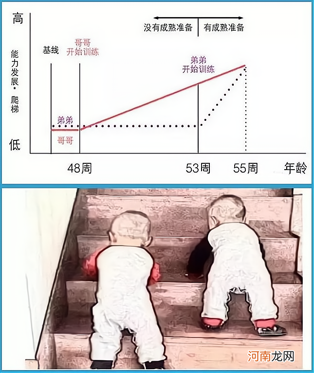 孩子早一年上学好，还是晚一年好？一个科学心理实验，一目了然