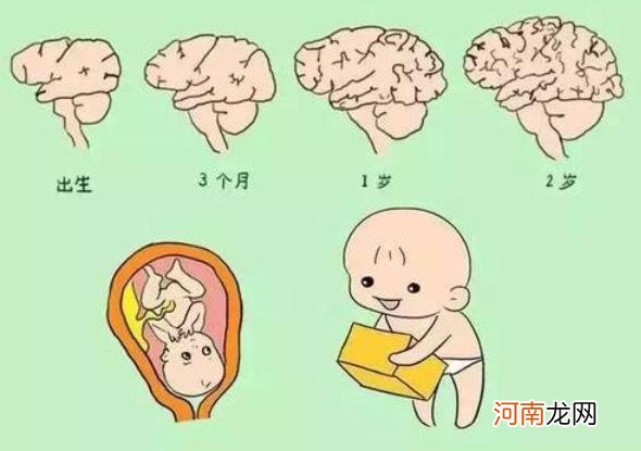哈佛大学研究：孩子大脑发育高峰期有3次，家长务必要抓住一次
