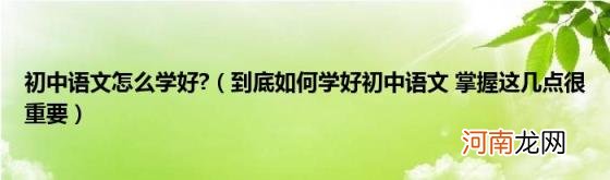 到底如何学好初中语文掌握这几点很重要 初中语文怎么学好?