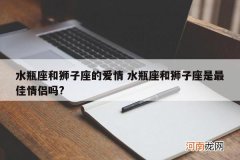 水瓶座和狮子座的爱情 水瓶座和狮子座是最佳情侣吗?