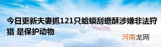 今日更新夫妻抓121只蛤蟆刮蟾酥涉嫌非法狩猎是保护动物