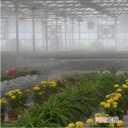 大棚种植喷雾加湿机器 大棚种植喷雾加湿