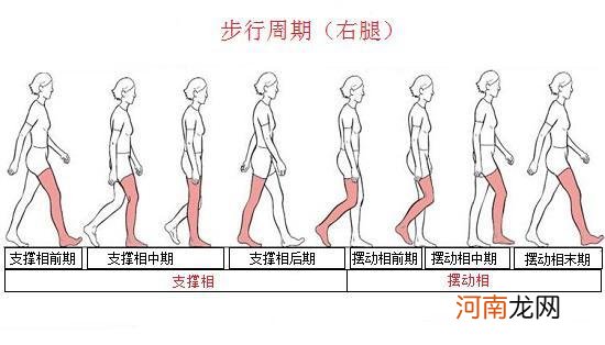 锻炼走路的正确走路姿势 走路的正确姿势