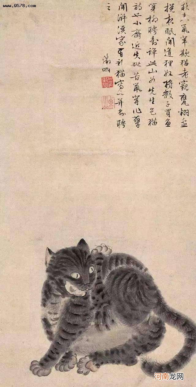 猫石运势 猫眼石是什么