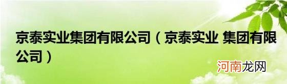 京泰实业集团有限公司 京泰实业集团有限公司