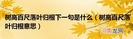 树高百尺落叶归根意思 树高百尺落叶归根下一句是什么