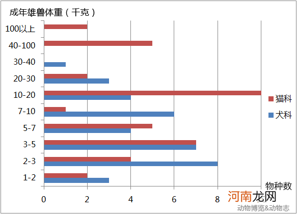 犬科与猫科动物的区别 猫科动物和犬科动物的区别