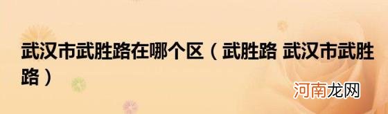 武胜路武汉市武胜路 武汉市武胜路在哪个区