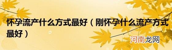 刚怀孕什么流产方式最好 怀孕流产什么方式最好