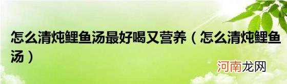 怎么清炖鲤鱼汤 怎么清炖鲤鱼汤最好喝又营养