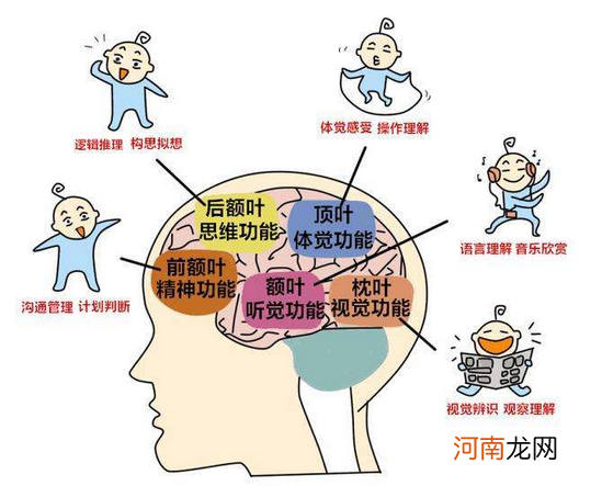 哈佛研究发现：孩子人生中的“黄金7年”，很多家长都错过了