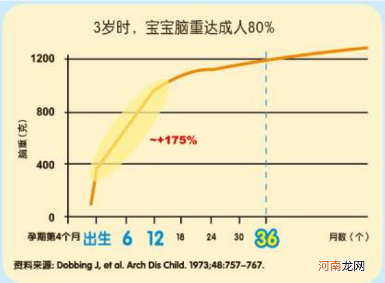 哈佛教授：孩子大脑发育有3个高峰期，请务必帮孩子抓住一次