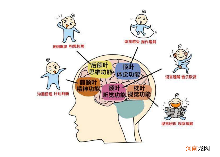 哈佛教授：孩子大脑发育有3个高峰期，请务必帮孩子抓住一次