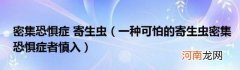 一种可怕的寄生虫密集恐惧症者慎入 密集恐惧症寄生虫