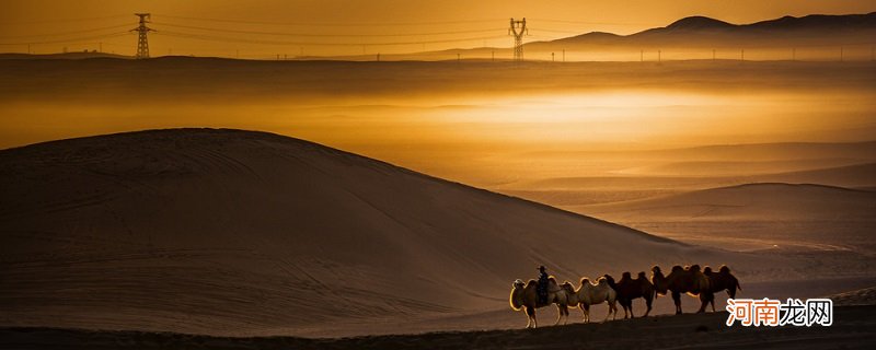 中国海拔最高的盆地是什么盆地 我国四大盆地中海拔最高的盆地