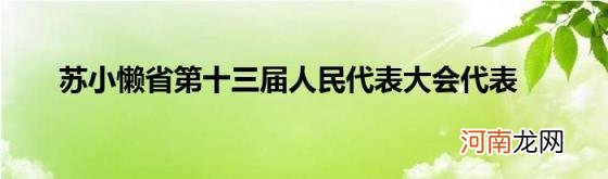 苏小懒省第十三届人民代表大会代表