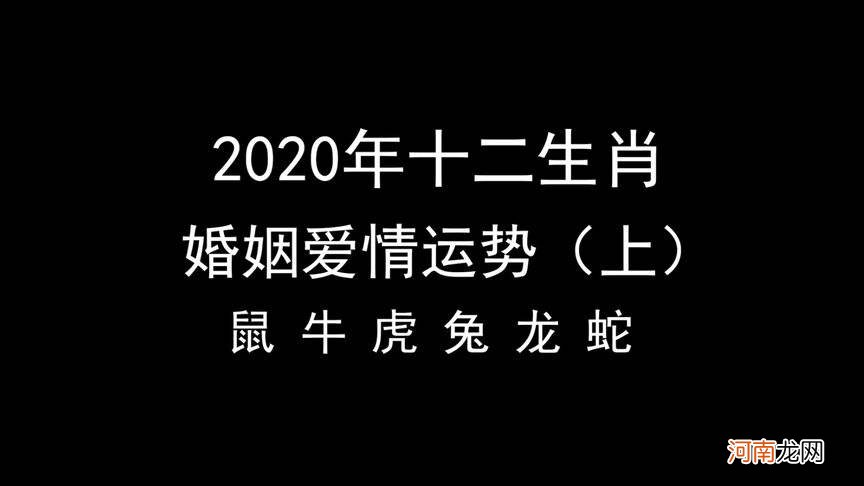 2020年12生肖运势解析 2020年12生肖运势解析麦玲玲