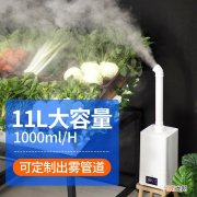 蔬菜喷雾加湿时间设置多少合适 蔬菜喷雾加湿时间设置
