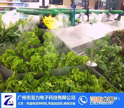 蔬菜喷雾加湿时间设置多少合适 蔬菜喷雾加湿时间设置