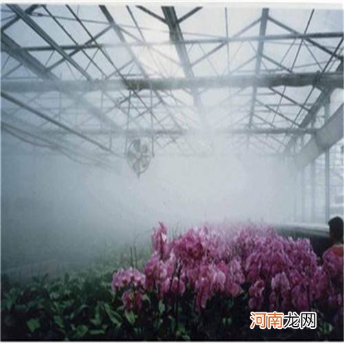 广西省喷雾加湿设备公司 广西省喷雾加湿设备