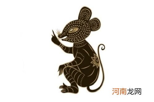 属老鼠今年运势 属老鼠今年运势怎么样2022速龙