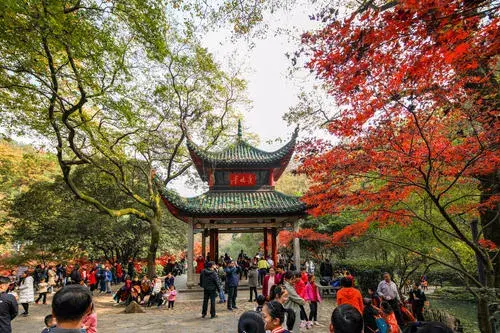 长沙别称为什么叫星城 长沙为什么叫星城