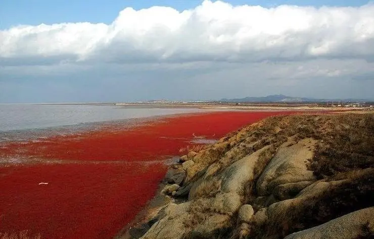 红海的海水颜色呈现什么 红海的海水一般呈什么颜色