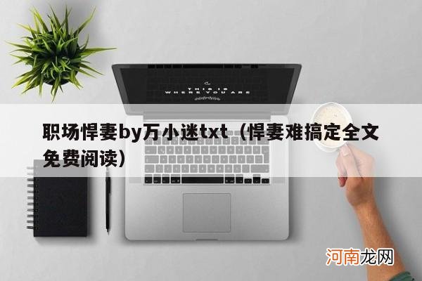 悍妻难搞定全文免费阅读 职场悍妻by万小迷txt