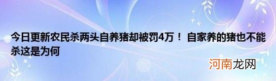 今日更新农民杀两头自养猪却被罚4万！自家养的猪也不能杀这是为何