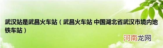 武昌火车站中国湖北省武汉市境内地铁车站 武汉站是武昌火车站