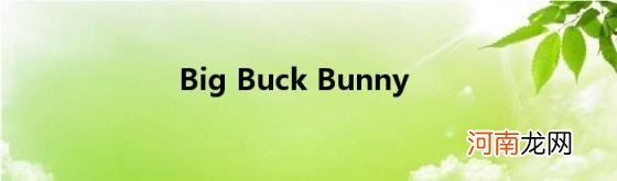 BigBuckBunny