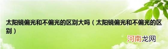 太阳镜偏光和不偏光的区别 太阳镜偏光和不偏光的区别大吗